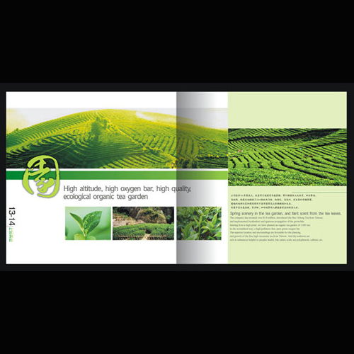 深圳產品圖冊與網站設計印刷服務 專業視覺呈現提升品牌價值