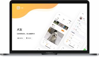 指尖上的藝術(shù) 探索網(wǎng)頁(yè)與網(wǎng)站設(shè)計(jì)作品小集